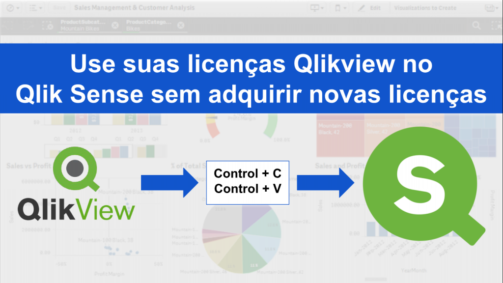 qlik dual use